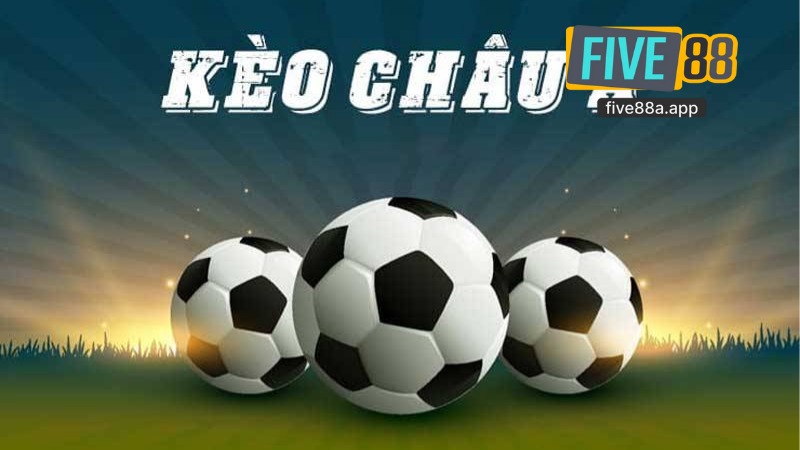 Sảnh Thể Thao K Sports