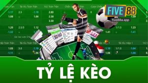 Sảnh Thể Thao K Sảnh Thể Thao K SportsSports