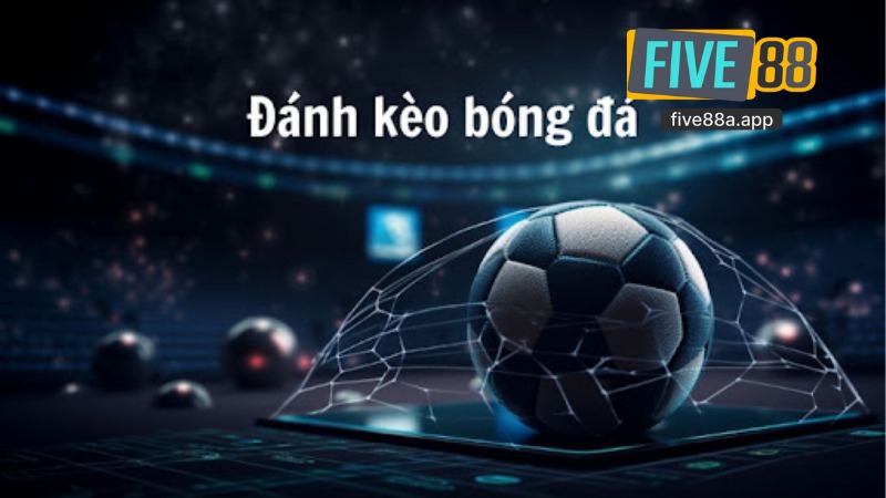Sảnh Thể Thao T Sports 